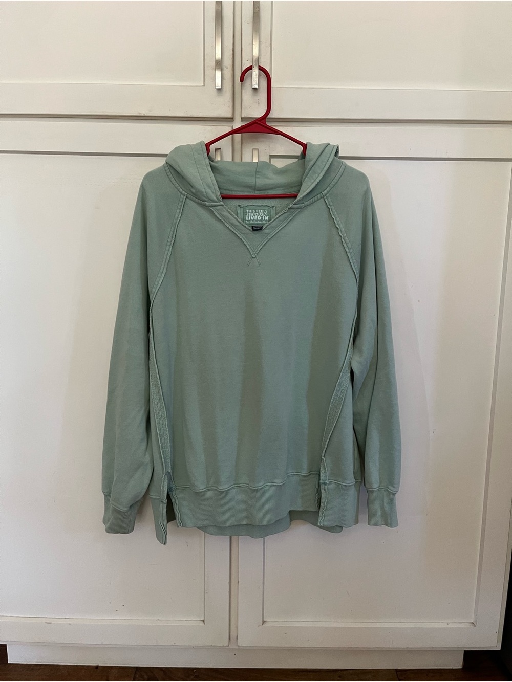 American Eagle Outfitters Sage Green Hooded Pullover